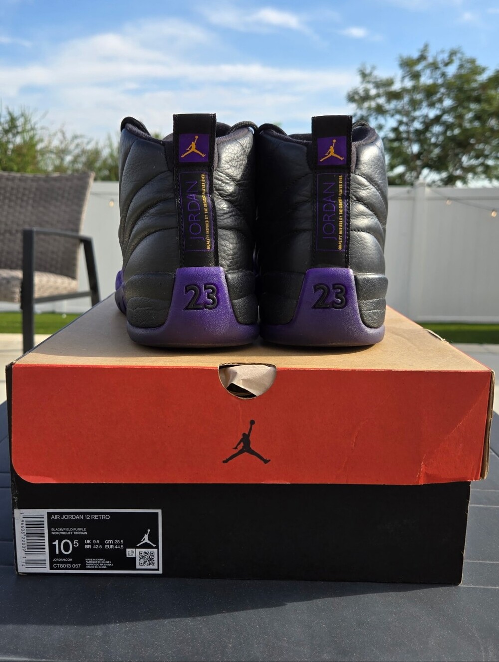 Air Jordan Men's 12 Retro Basketball Shoes - Black/Purple